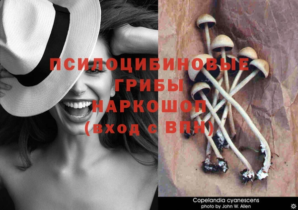 прущая мука Переславль-Залесский