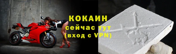 тгк Пересвет