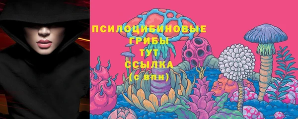 тгк Пересвет